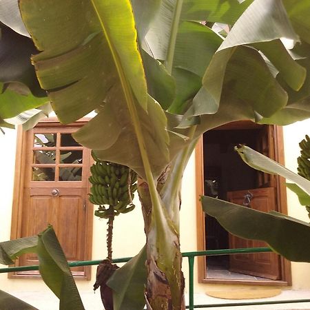 Casa Rural Llano Campo Hermigua Extérieur photo