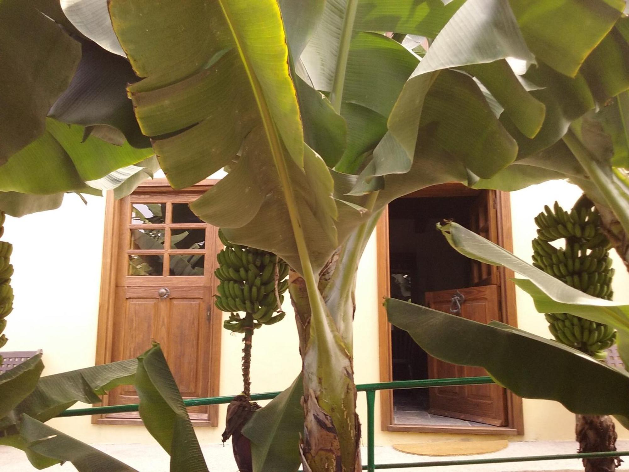 Casa Rural Llano Campo Hermigua Extérieur photo